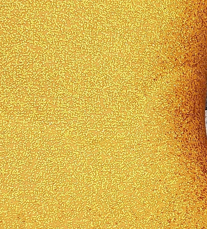 CeLaVi Glitter Gold Mädchen Thermo Winter Gummistiefel Gefüttert 3 CeLaVi Glitter Gold Mädchen Thermo Winter Gummistiefel Gefüttert – Bild 3